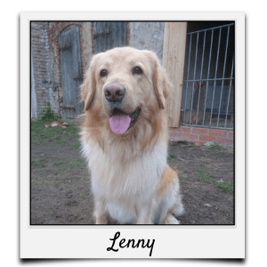 Körbchen 2020 - Lenny