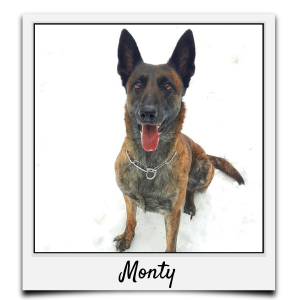 Körbchen 2021 - Monty