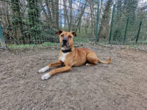 Duke_2026