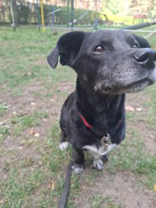 Mäx (3)