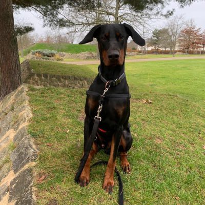 Cooper Cooper