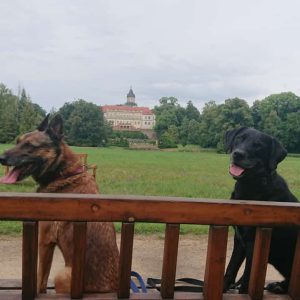 Mali - Kira (3)