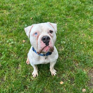 WhatsApp Bild 2025-10-17 um 22.17.51_053ed31a