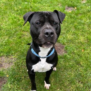 WhatsApp Image 2025-10-30 at 21.23.53