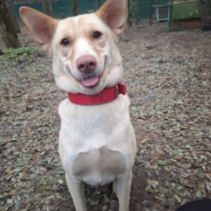 WhatsApp Image 2025-12-03 at 22.48.25 (2)