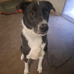 WhatsApp Image 2025-12-10 at 19.43.49