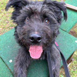 WhatsApp Image 2025-12-10 at 20.06.36